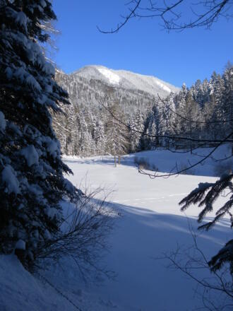 Breitenberg vom Rußbachtal