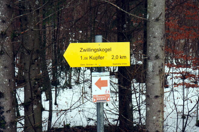 Start Wiesleiten 510m