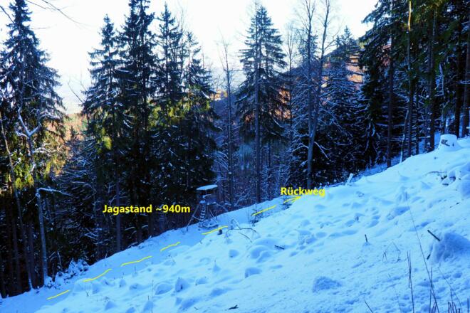 Blick hinab zum Jagastand (Rückweg)