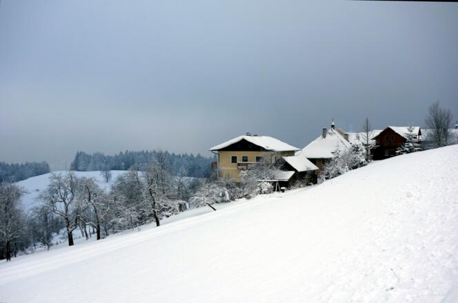 Weiler Schaffling ~830m