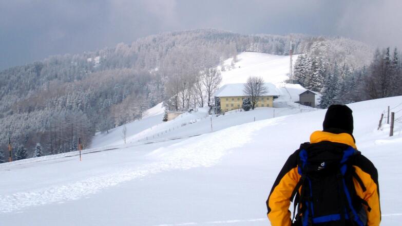Hochpunkt 950m , Kronbauer 915m im Blick
