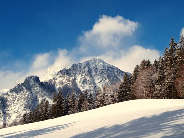 Zamseggerreit um 905m