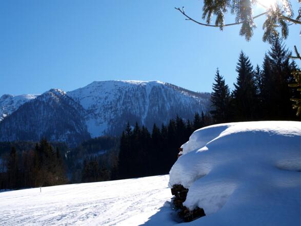 Rückblick auf 850 m