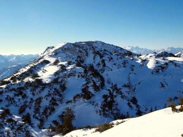 Helmesgupf 1633m vom Steinkogel gesehen.