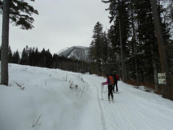 Aufstieg zur Wildalmleiten