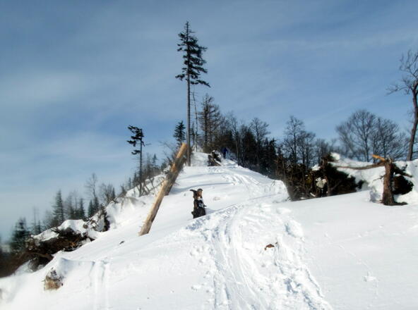 Ostgrat 1330m - 1405m