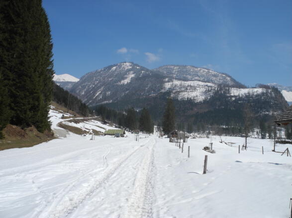 Die Rettenbachalm ist erreicht - links im Hintergrund der Wildenkogel (Schönberg)