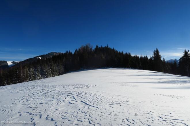 Da drüben im Wald ist der Gipfel des kleinen Mitterbergs