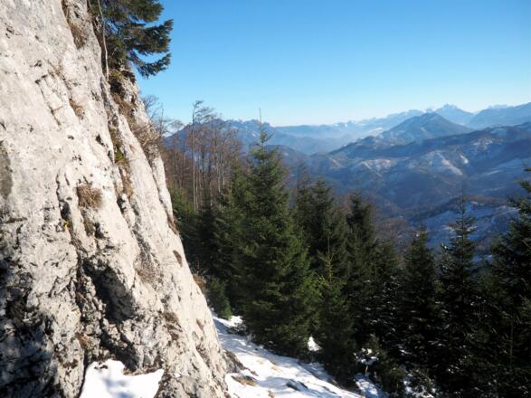 Fuß Steilstufe ~1340 m unter der einzelnen Lärche