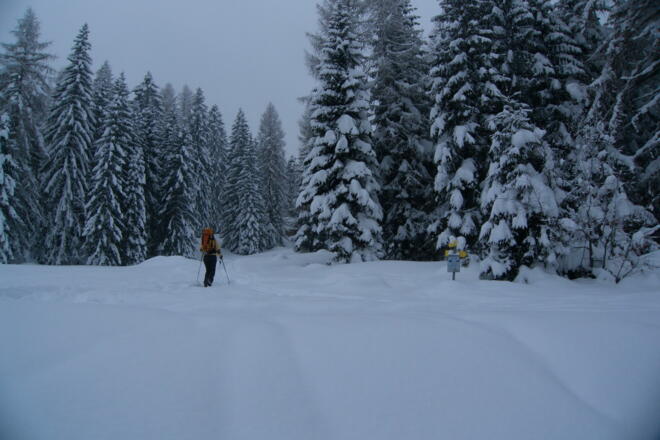 In der Mitte der Tommerlalm zwischen Hütte und Jägerstand
