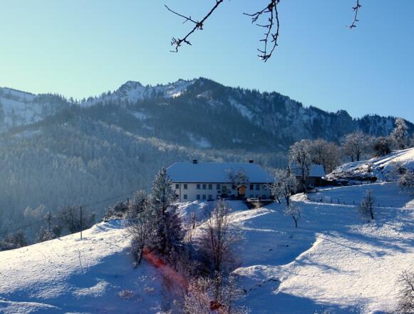 Rückblick vom Hof 801m zum Trapez und Steineck