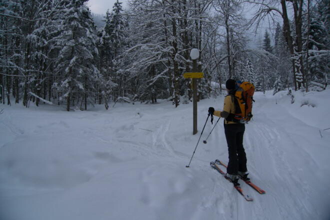 Kurz vor der Materialseilbahn Abzweigung zur Dümlerhütte 