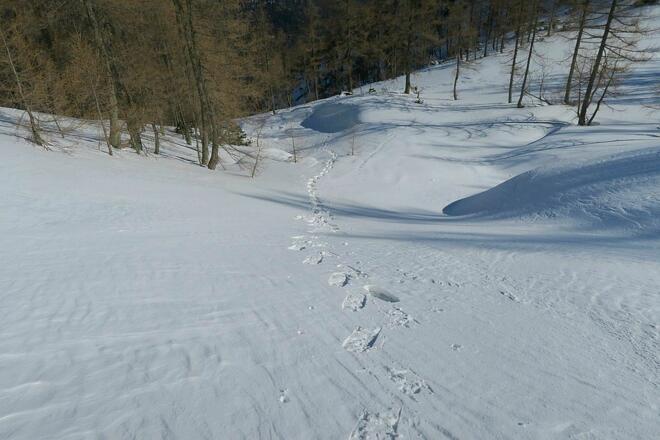 Es gab aber immer wieder Abschnitte, wo die Schneedecke hielt