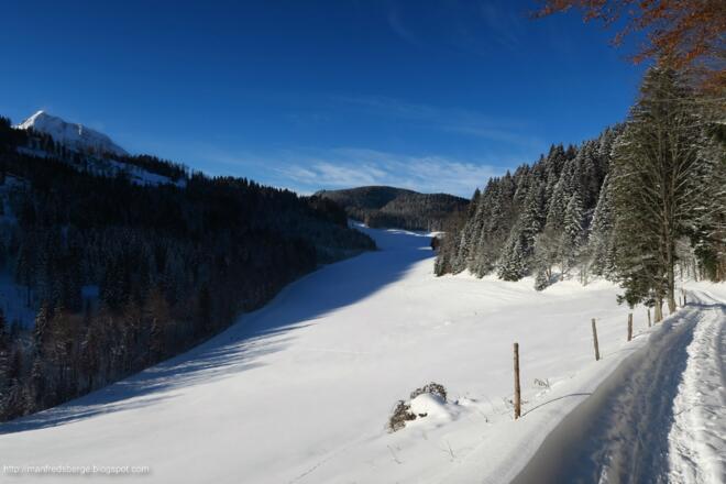 Vorne bei der freien Fläche werden wir nach links schwenken