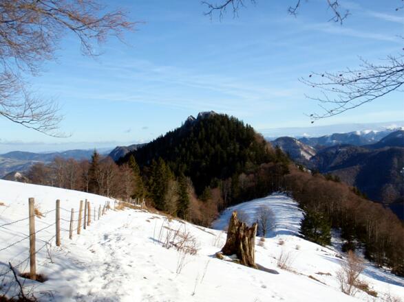 Pfaffenmauer 1218m beim Rückweg