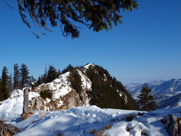 Rückblick zur Schneid 1550m vor dem Abstieg
