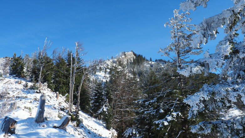 am Grat, rechts Talblaikenschneid 1545m