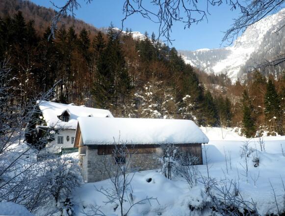 Jhtt. Rettenbach - Schranken ~615m