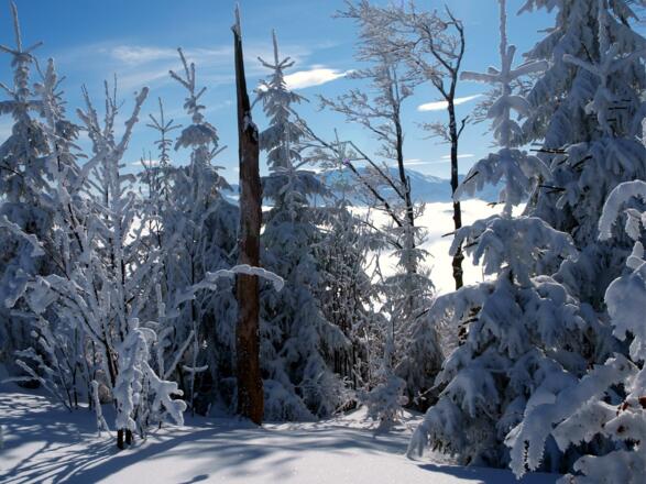 Winterzauber am Kamm