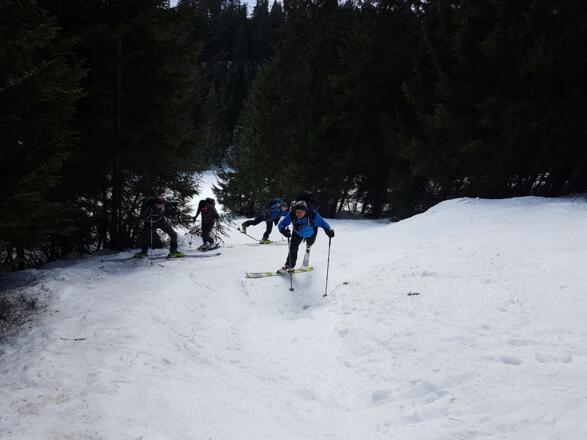 Kaltstart in den Wald