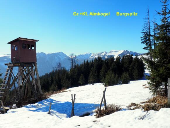 Blick zum Almkogel und Burgspitz vom Jagastand um 1000m