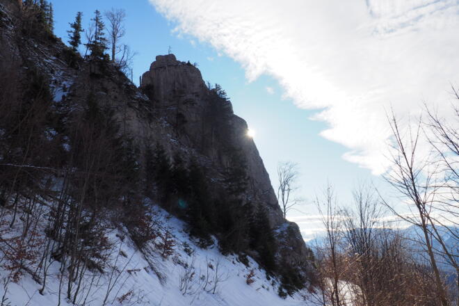 Felszacken an der Forststraße (Rückweg) ~1045m