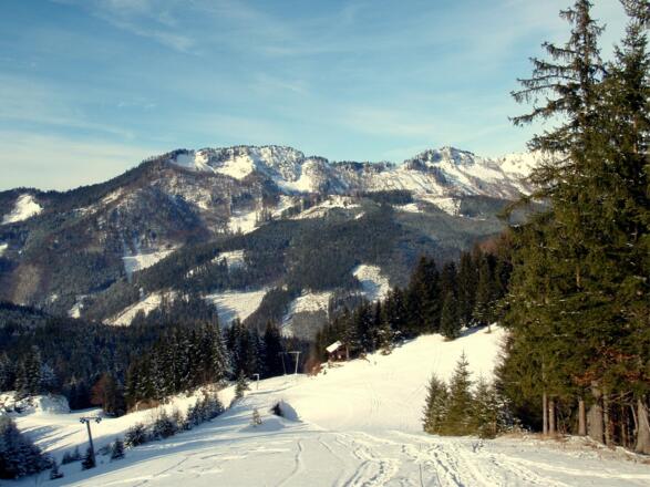 1130m am Hochpunkt der Piste, Blick zurück.