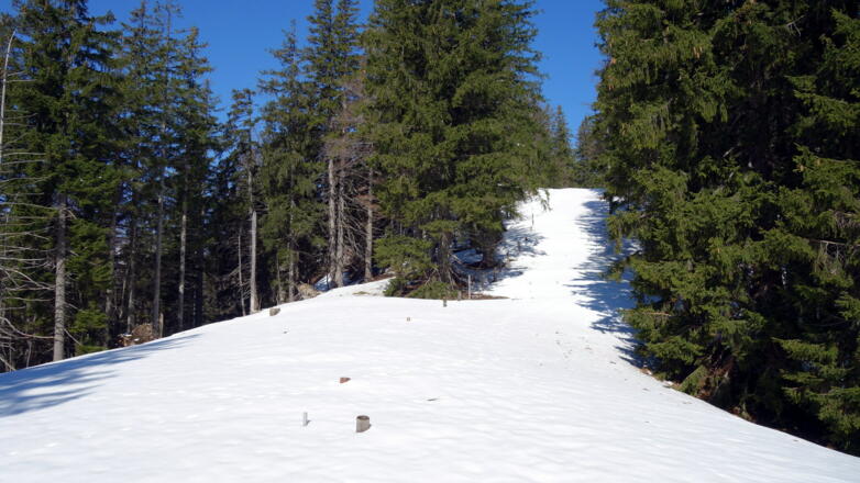 Schneise von der Wegtafel (1300m)