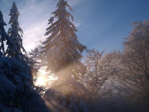 Nebelgrenze um 1000m erreicht