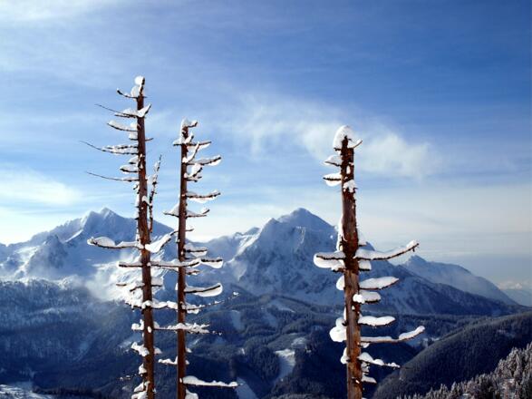 Pyhrgas und Scheiblingstein im Süden