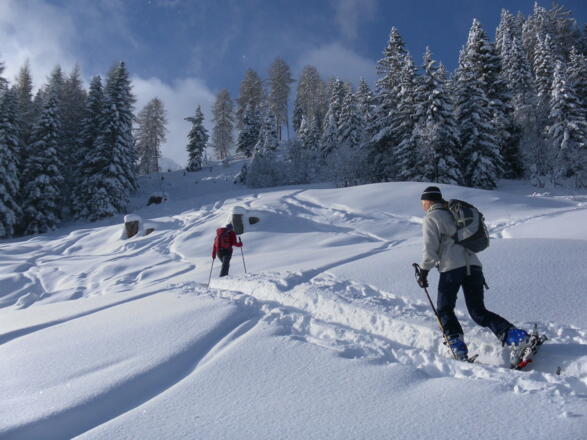 unter der Amoser-Hochalm