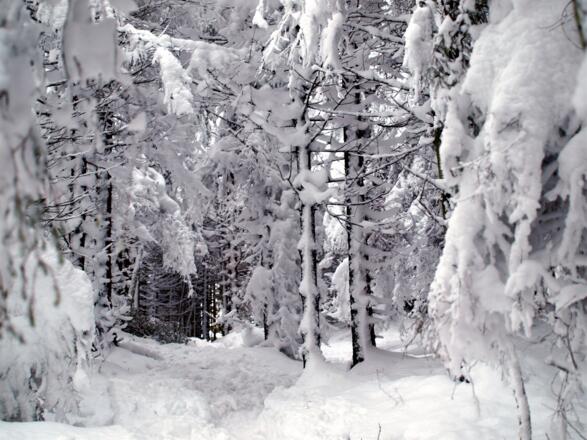Tiefverschneiter Graben ins Tal