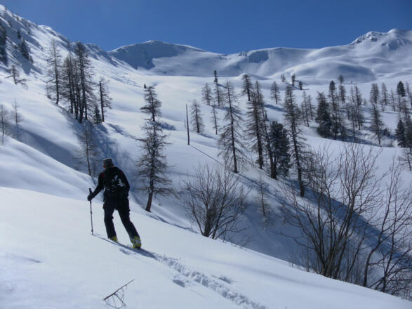 oberhalb der Reitalm