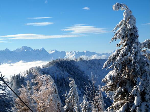 Blick zum Großen Priel und Schermberg