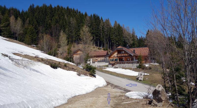 Zum Forstweg scharf links um 1120m