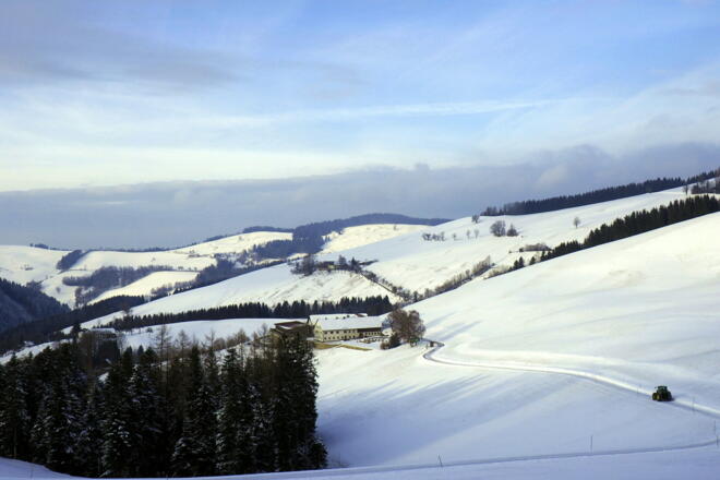 Am Rückweg ~760m, Blick NW