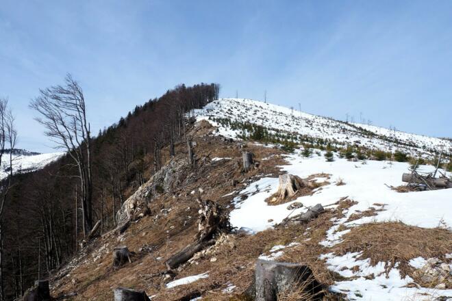 Rückblick v. Dürreck ~1100m, Gratabstieg Kleinreifling