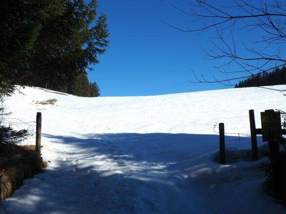 Forststraße wird erreicht um 925m