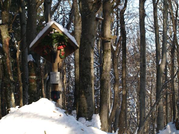 Gipfelmarterl am Kruckenbrettl 1020m