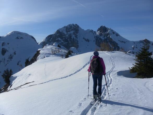 Tennkogel Gipfelkuppe links