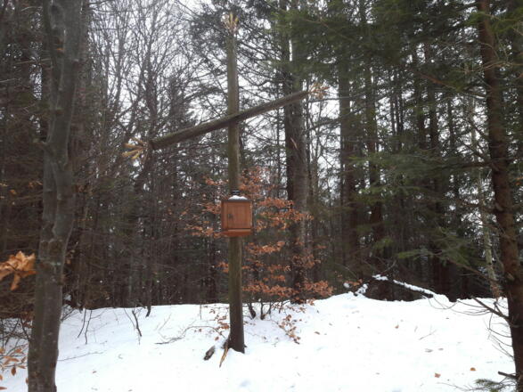 Ochsenkogelkreuz um 935m