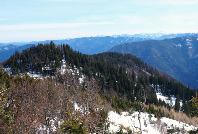 Ennsberg 1373m, vom Hühnerkogelabstieg.