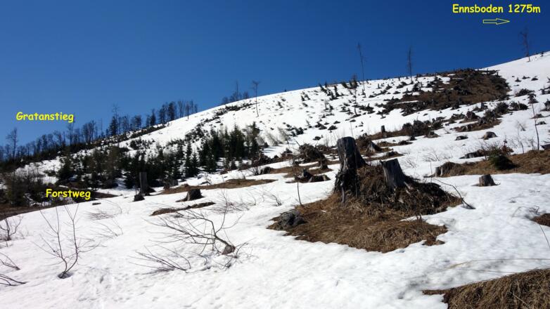 zum Gratanstieg Ennsboden