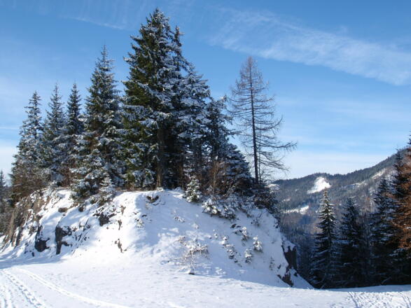 Anstieg auf der Piste, Sattel um 1000m