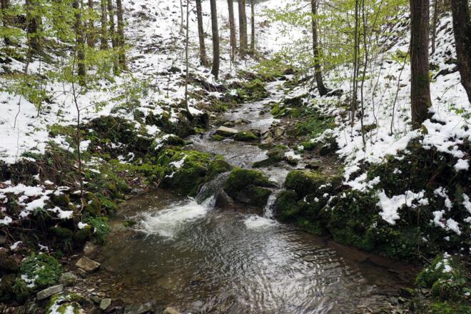 Bachbrückerl um 515m