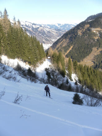 oberes Ende des Staudenhanges