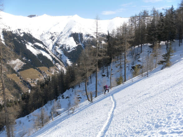 unteres Kar mit Blick zu Tristenwandkopf, Freudenendkopf und Breitebenkopf