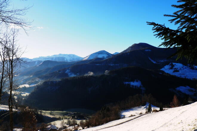 Blick nach Süden (Nock) vom ca. 670m
