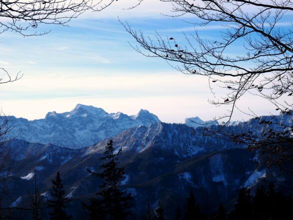 Prielkamm vom Gratrücken um 1020m