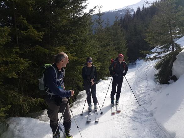 Gemütlich am Forstweg 